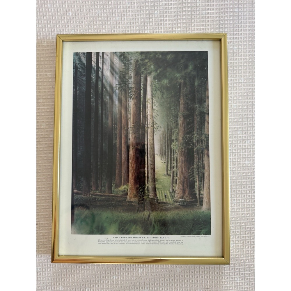 Loyal H Chapman No 3 Redwood Golf Landscape Print Framed Infamous 18 9.5x12.5